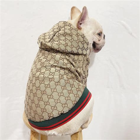 designer dog coats Gucci